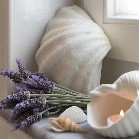 Antouanetta דירה