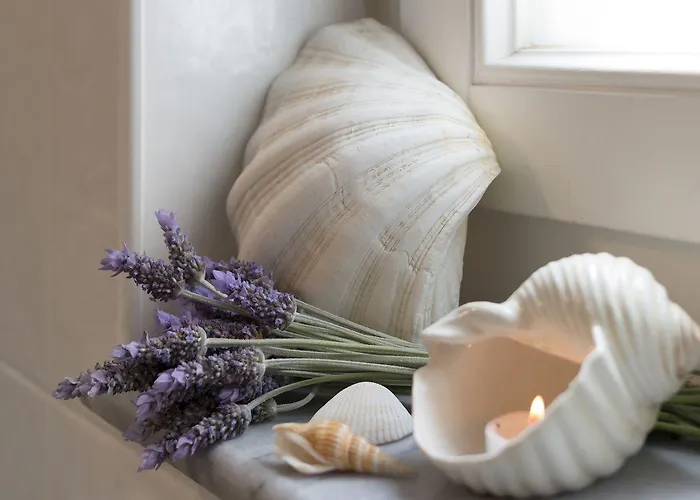 Antouanetta Appartement