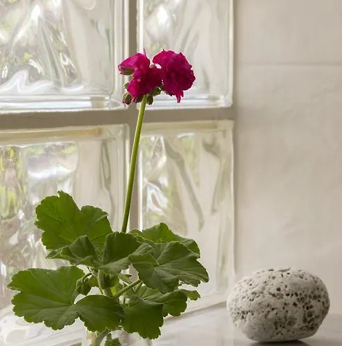 Antouanetta * Ermoúpoli