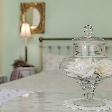 公寓 Antouanetta 埃尔莫波利斯