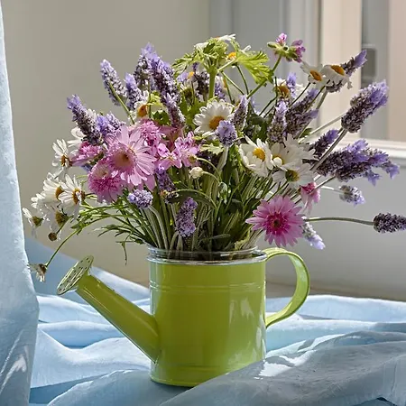 Antouanetta Ερμούπολη