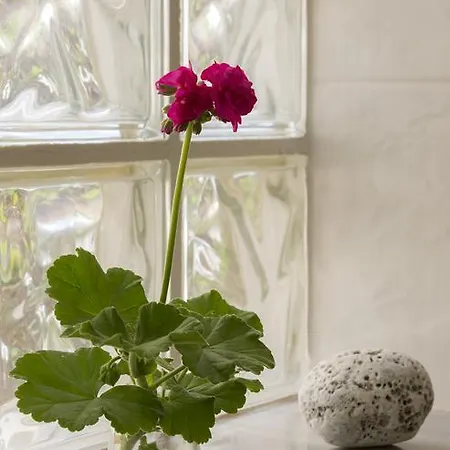 Antouanetta * Ερμούπολη